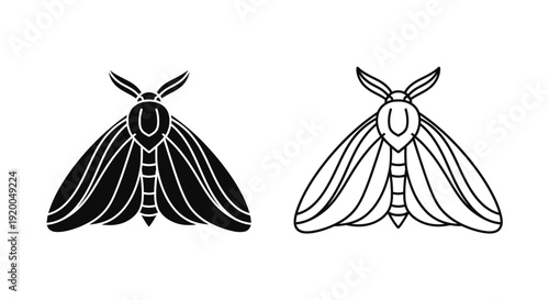 Black and white moths illustration, vector art, minimalist design, nature sketch Vector