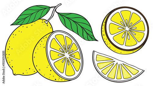 Vector illustration of lemons and lime fruit fresh juicy slices