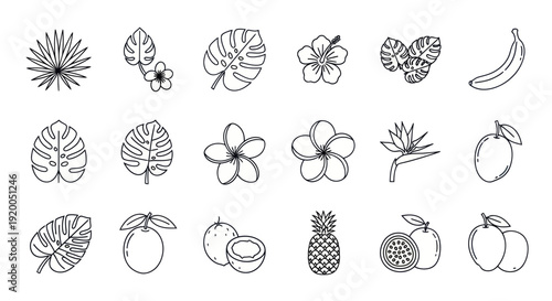 Tropical Fruits and Flowers Hand Drawn Icons Set
