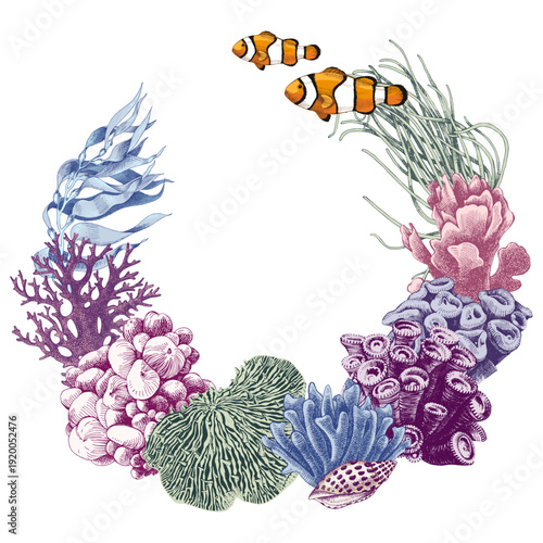 Hand drawn coral reef wreath vector