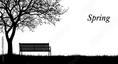 Serene spring scene with bare tree and bench on grassy field symbolizing renewal and calmness in nature
