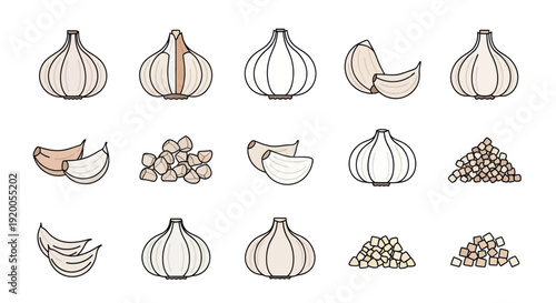 Garlic Icon Set: Whole Bulbs, Cloves, and Minced Garlic Illustrations