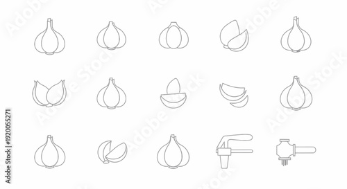 Garlic icons line art set, whole bulbs, cloves and sliced pieces, vector illustration