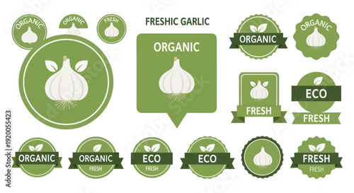 Organic Fresh Garlic Labels and Badges Collection - Healthy Food Icons