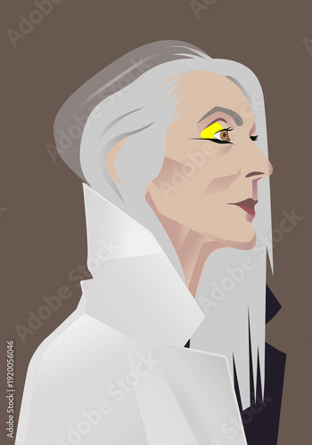 Beautiful grey haired elegant old lady. Chic stylish age woman. Silver beauty model.