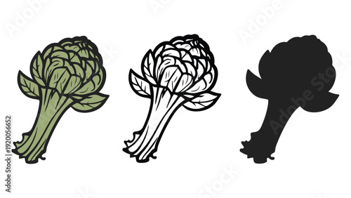 Artichoke vector illustrations in various styles and colors