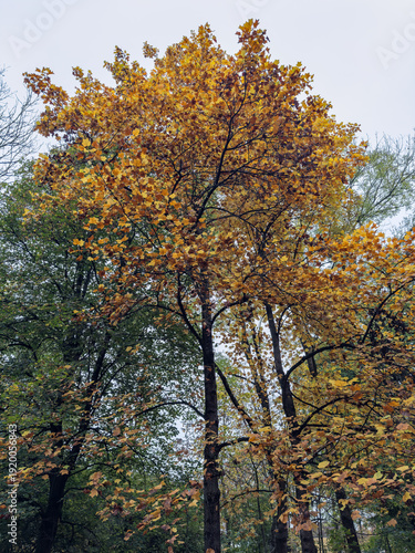 Calm lake with distant mountains and dramatic clouds at sunset