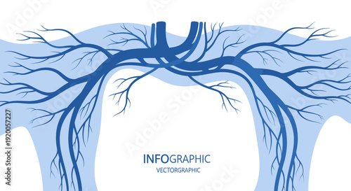 Human Respiratory System Diagram with Bronchi and Lungs Illustration.