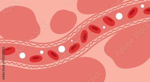 Red blood cells flowing through a blood vessel with white blood cells.