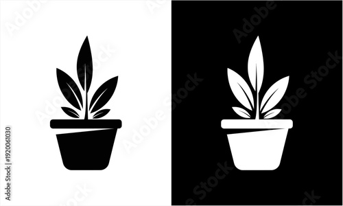 Minimalist black and white plant in a pot illustration.