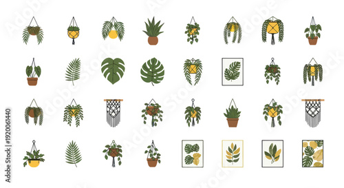 Bohemian Plant Collection: Hanging Planters, Monstera Leaves, Macrame Decor & Art