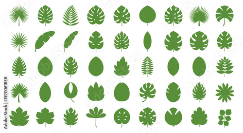 Collection of Green Tropical Leaves Vector Icons - Diverse Jungle Foliage Set