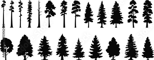 Comprehensive collection of various conifer tree silhouettes, including evergreen pine, spruce, and fir, alongside diverse deciduous forest trees isolated on a clean white background.