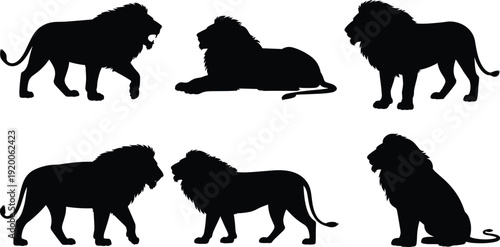 Male lion silhouettes collection featuring majestic African predators in various poses like walking roaring sitting and lying down isolated on white background for design
