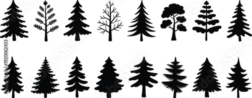 Set of black pine tree silhouettes and coniferous forest icons isolated on white background for nature landscape design, winter holiday stencils, and vector illustrations.