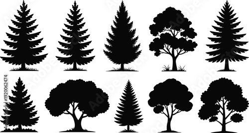 Set of diverse black tree silhouettes including pine, fir, spruce, and deciduous oak species isolated on white background for nature and landscape design projects