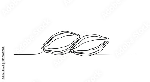 Two cardamom pods, minimalist line drawing for spice and flavor