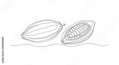 Cocoa pods, one whole and one split, minimalist line art for chocolate