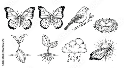 A collection of black and white illustrations depicting various elements of nature, including butterflies, a bird, a nest with eggs, sprouting plants, a cloud with rain, and a sun with a wing.