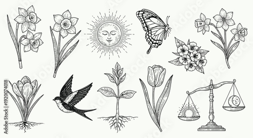 A collection of vintage-style botanical and symbolic illustrations including flowers, a bird, a butterfly, the sun, and scales.