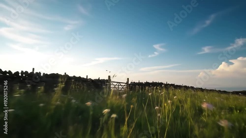 A breathtaking wideangle view of a serene green meadow filled with delicate wildflowers gently swaying under an expansive bright blue sky featuring a rustic dry stone wall and a charming wooden gate .