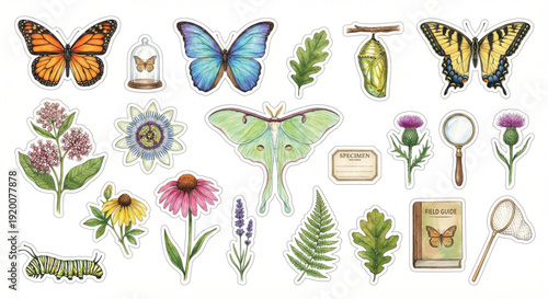 Watercolor clip art set, Butterfly Collection theme, collection of 20 items