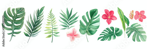 Watercolor tropical leaves and flowers collection with monstera and palm fronds in flat minimalist vector style for botanical design and decoration