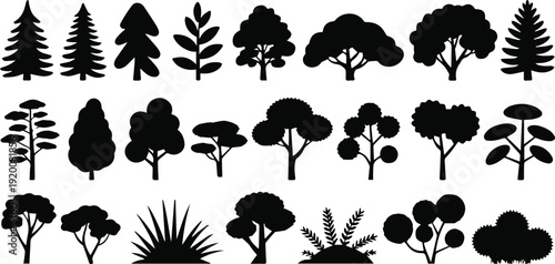 Minimal botanical silhouettes evoking nature and calm