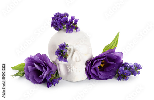 Human skull with beautiful ...