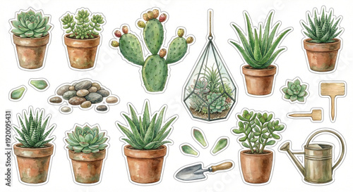 Watercolor clip art set, Succulents theme, collection of 20 items
