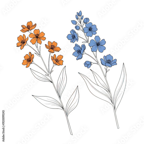 A beautiful bouquet of orange and blue flowers in full bloom isolated on transparent background