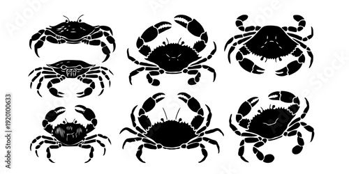Set of black crab silhouettes with unique shapes and claw styles, hand-drawn style on white background, concept of marine wildlife identification