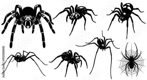 Collection of Black Spider Silhouettes on White Background
