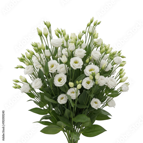 A beautiful bouquet of white flowers with green leaves arranged in a vase. isolated on transparent background
