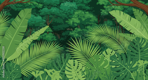 Aerial view of lush forest with dense foliage and varied plant life