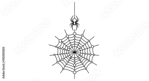 Spider Hanging on Web