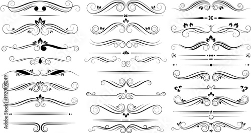 Canvas Print set of black and white vintage swirling ornate design elements and lines