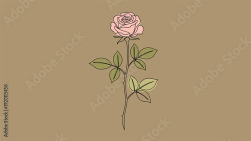 Elegant pink rose on a long green stem with leaves, illustrated in a refined line art style against a solid taupe background.