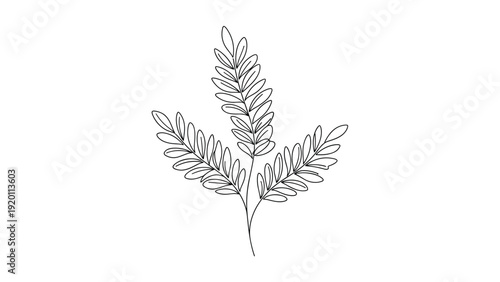 Simple line drawing of a branch with multiple leaves provides a minimalist botanical illustration for nature-themed design projects.