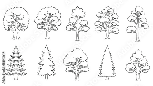 Collection of various tree outline drawings shows different species and leaf patterns in a clean black and white minimalist style.