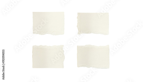 Wallpaper Mural ripped element set of torn paper edges isolated with clipping path on white background. torn paper texture, ripped of paper designs and jagged paper edges create a raw, artistic look Torontodigital.ca