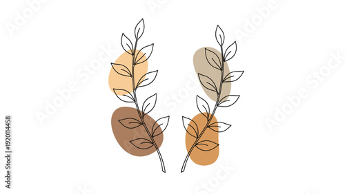 Minimalist branch line art with soft earth tone circles in the background creates a modern and aesthetic natural illustration for decor.