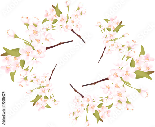 淡いピンクの桜の花枝で円形に構成された春のナチュラルリースフレーム｜優しい水彩風タッチの装飾用ボタニカルイラスト素材