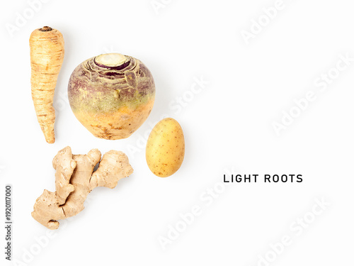 Light colored root vegetables parsnip, turnip, potato, ginger arranged in minimal composition with generous copy space isolated on white background. Healthy food