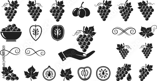 Vintage grape and vineyard icon set. Black silhouette wine fruit elements. Decorative flat vector illustration collection.