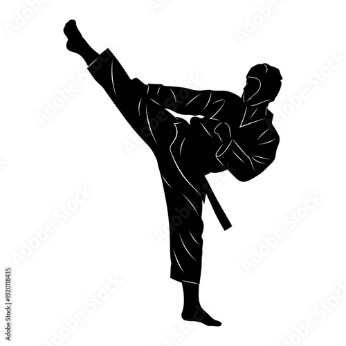 Dynamic Silhouette of a Martial Artist Performing a High Kick in Training