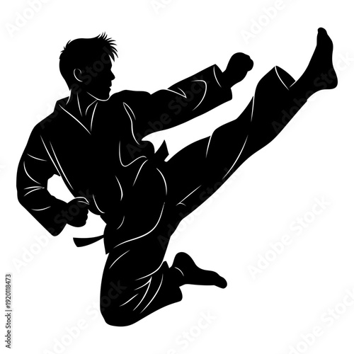 Martial Artist Silhouette Performing a Dynamic High Kick