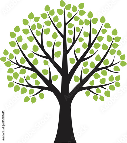 Lush Green Leafy Tree for Nature Landscape

Vibrant Summer Tree with Full Green Leaves

Environmental Conservation Green Tree Illustration