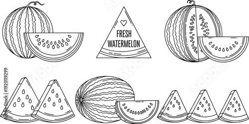 Fresh watermelon hand drawn collection set. Vintage engraved whole and sliced fruit illustration. Black and white outline vector for packaging, label and logo design.