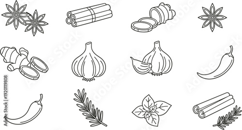 Hand drawn spice and herb outline collection with garlic chili cinnamon star anise ginger rosemary vector line art set